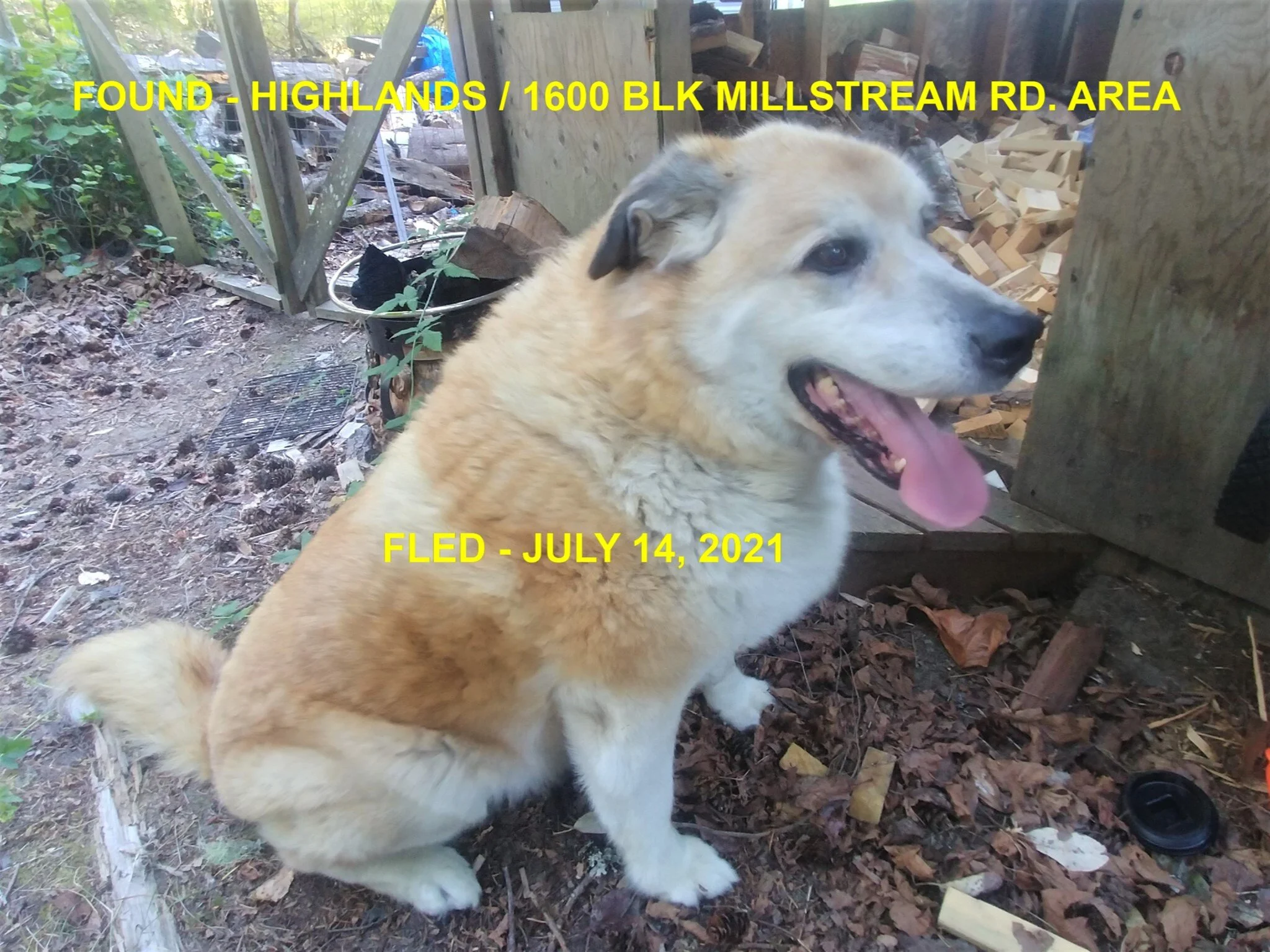 HAPPY ENDINGS - WEST HIGHLANDS BC - JULY 14, 2021