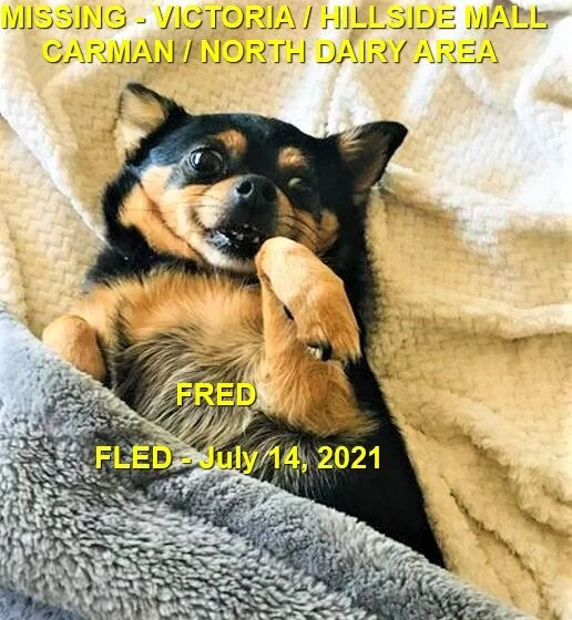 HAPPY ENDINGS - VICTORIA BC - FRED - JULY 14, 2021