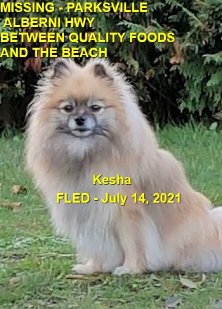 HAPPY ENDINGS - PARKSVILLE BC - KESHA - JULY 14, 2021
