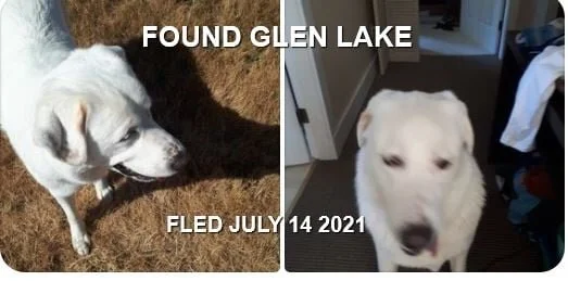 HAPPY ENDINGS - LANGFORD BC - ROSIE - JULY 14, 2021