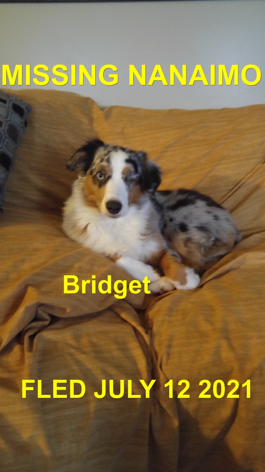 HAPPY ENDINGS - NANAIMO BC - BRIDGET - JULY 12, 2021