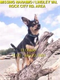 HAPPY ENDINGS - NANAIMO BC - EL CHAPO - JULY 12, 2021
