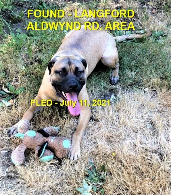 HAPPY ENDINGS - LANGFORD BC - WILSON - JULY 11, 2021