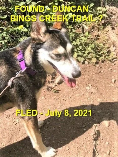 HAPPY ENDINGS - DUNCAN BC - JULY 8, 2021