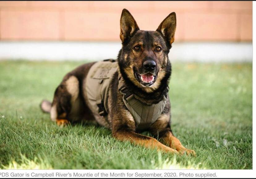 RCMP CANINE OFFICER KILLED IN CAMPBELL RIVER WHILE ON DUTY - JULY 8, 2021