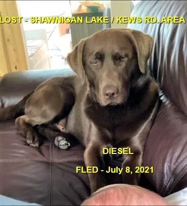 HAPPY ENDINGS - SHAWNIGAN LAKE BC - DIESEL - JULY 8, 2021