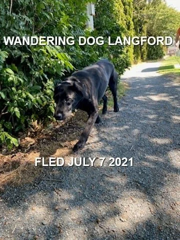 HAPPY ENDINGS - LANGFORD BC - JULY 7, 2021