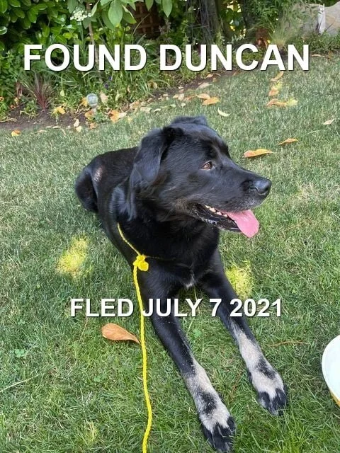 HAPPY ENDINGS - DUNCAN BC - OLIVER - JULY 7, 2021