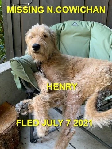 HAPPY ENDINGS - COWICHAN BC - HENRY - JULY 6, 2021