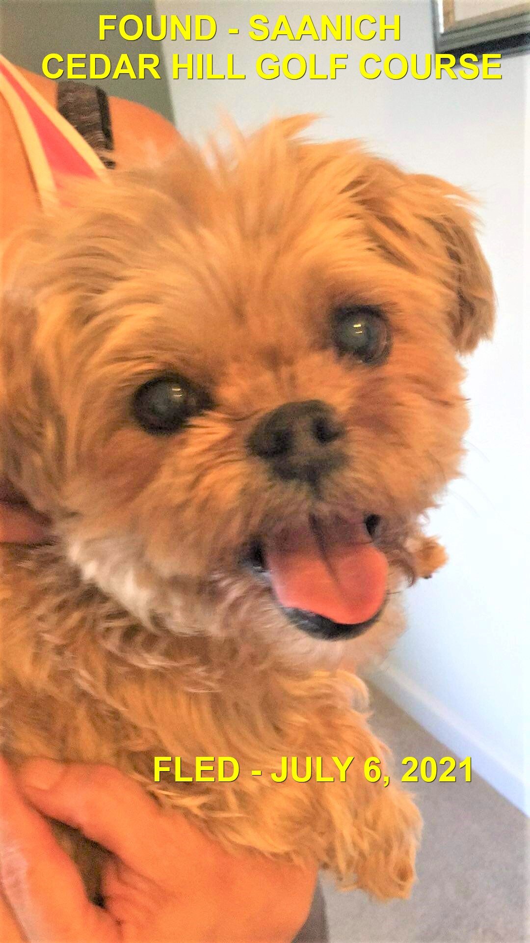 HAPPY ENDINGS - SAANICH BC - JULY 6, 2021