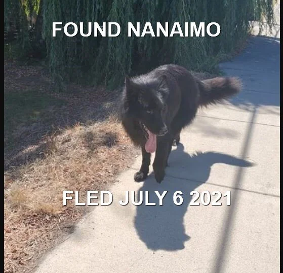 HAPPY ENDINGS - NANAIMO BC - JULY 6, 2021