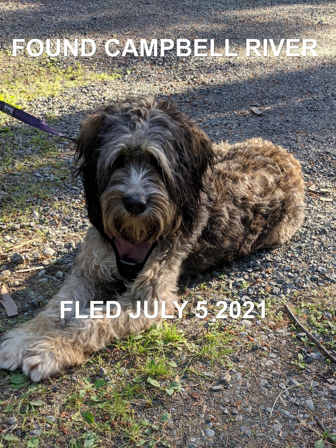 HAPPY ENDINGS - CAMPBELL RIVER BC - JULY 5, 2021