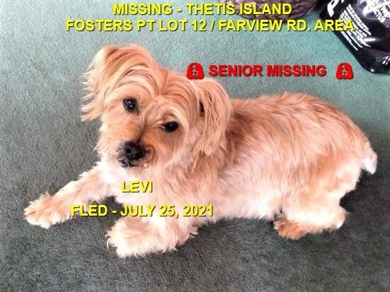 HAPPY ENDING - THETIS ISLAND - LEVI (SENIOR) JULY 24, 2021