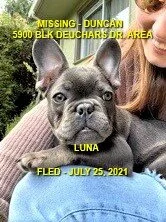 HAPPY ENDINGS - DUNCAN BC - LUNA - JULY 25, 2021