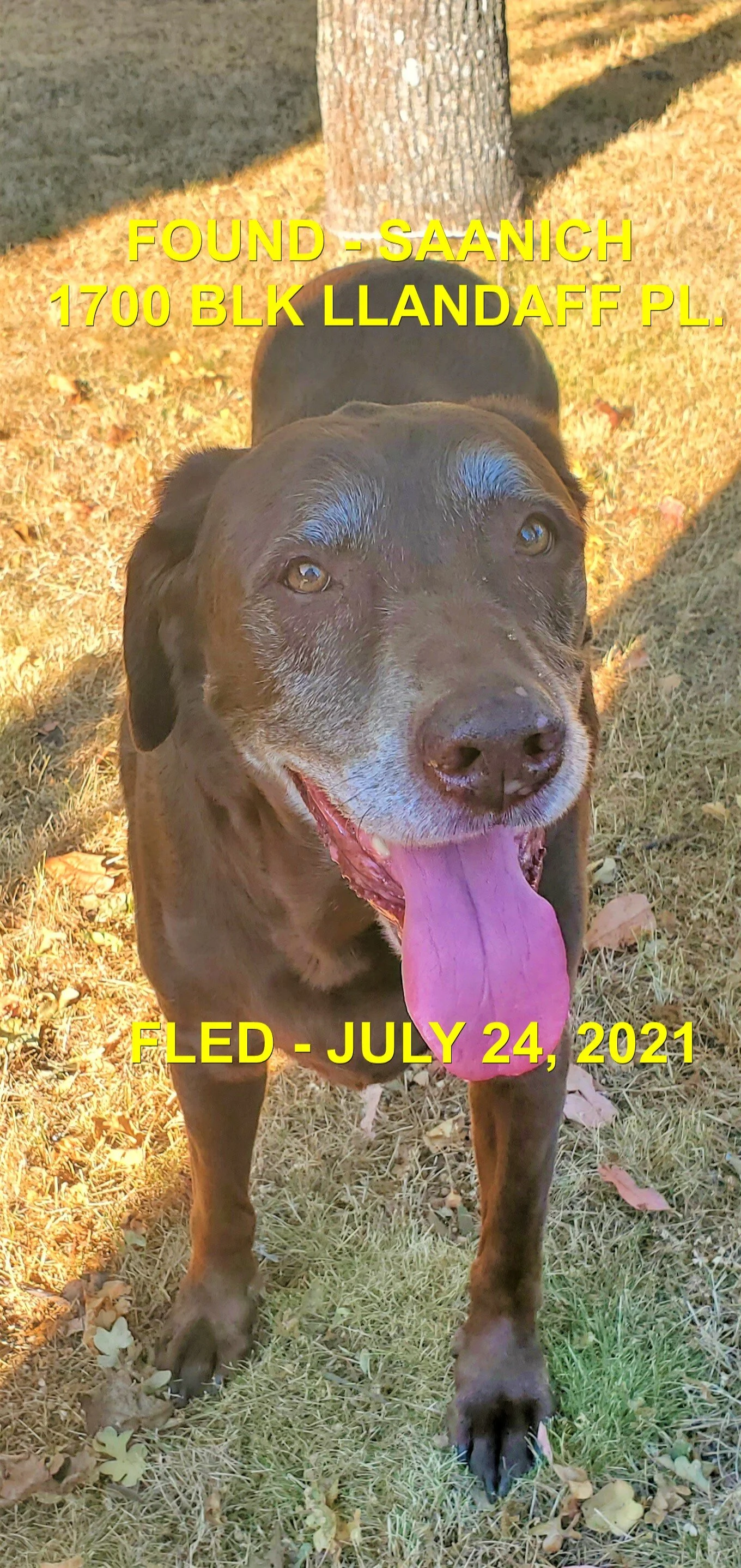 HAPPY ENDINGS - SAANICH BC - JULY 24, 2021