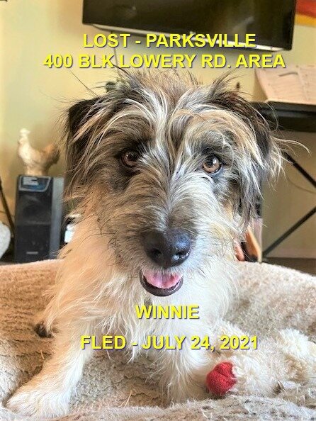 HAPPY ENDINGS - PARKSVILLE BC - WINNIE - JULY 24, 2021