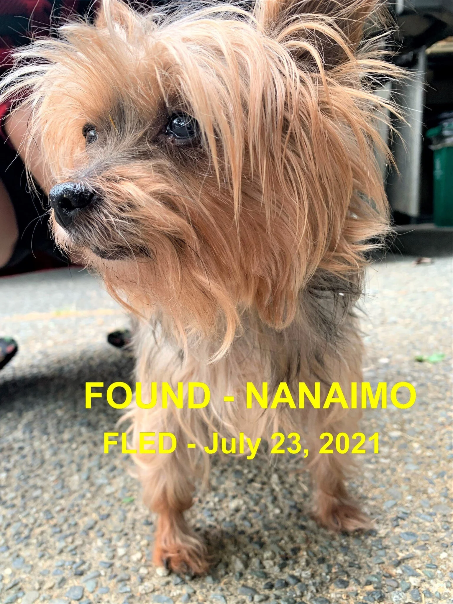 HAPPY ENDINGS - NANAIMO BC - JULY 23, 2021