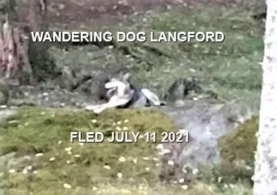 UNRESOLVED - LANGFORD BC - JULY 11, 2021