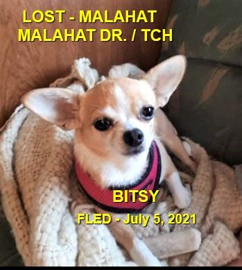 OVER THE RAINBOW BRIDGE - MALAHAT BC - BITZY - JULY 5, 2021