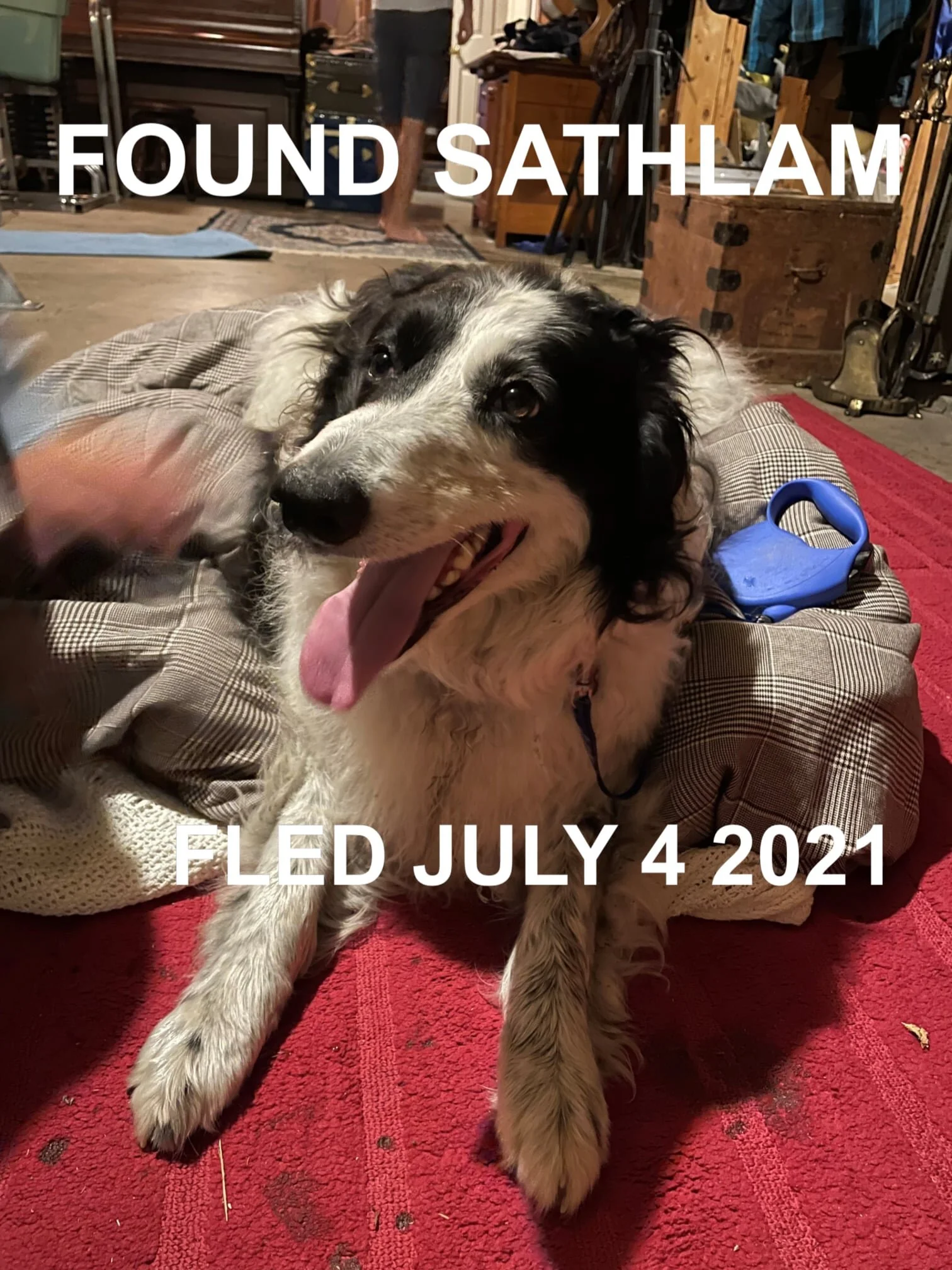 HAPPY ENDINGS - DUNCAN BC - TESSA - JULY 4, 2021