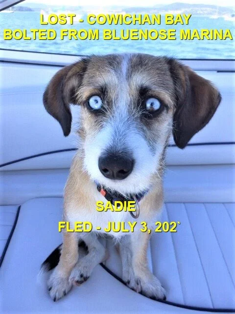 HAPPY ENDINGS - COWICHAN BAY BC - SADIE - JULY 3, 2021