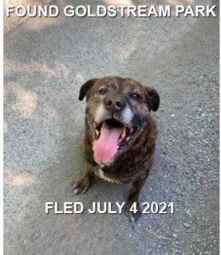 GONE TO SHELTER - LANGFORD BC - JULY 4, 2021