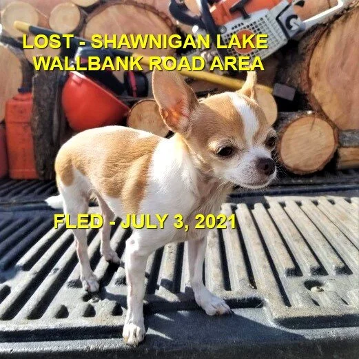 HAPPY ENDINGS - SHAWNIGAN LAKE BC - EVEE - JULY 3, 2021