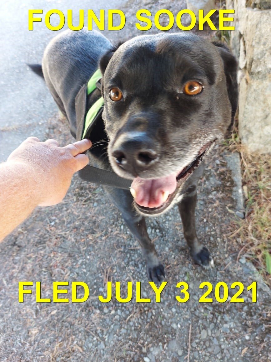 HAPPY ENDINGS - SOOKE BC - MILO - JULY 3, 2021