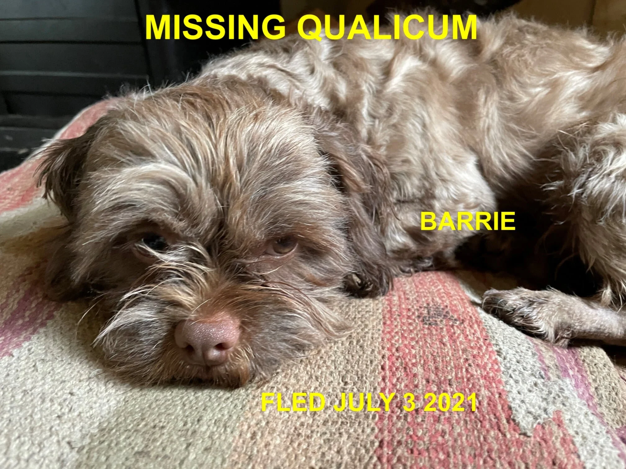 HAPPY ENDINGS - QUALICUM BEACH BC - BOBBIE - JULY 2, 2021