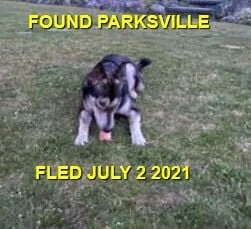 HAPPY ENDINGS - PARKSVILLE BC - JULY 2, 2021