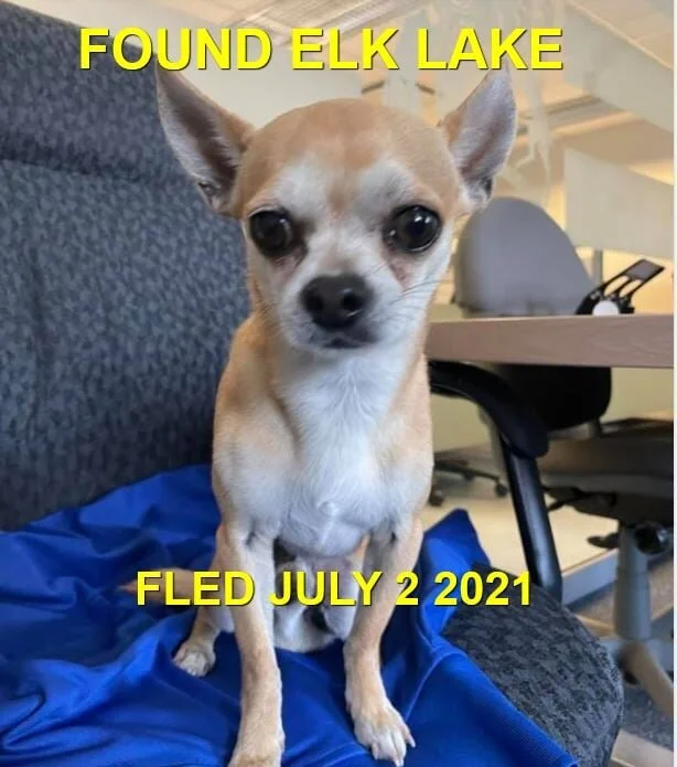 HAPPY ENDINGS - SAANICH BC - JULY 2, 2021