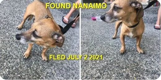 HAPPY ENDINGS - NANAIMO BC - JULY 2, 2021