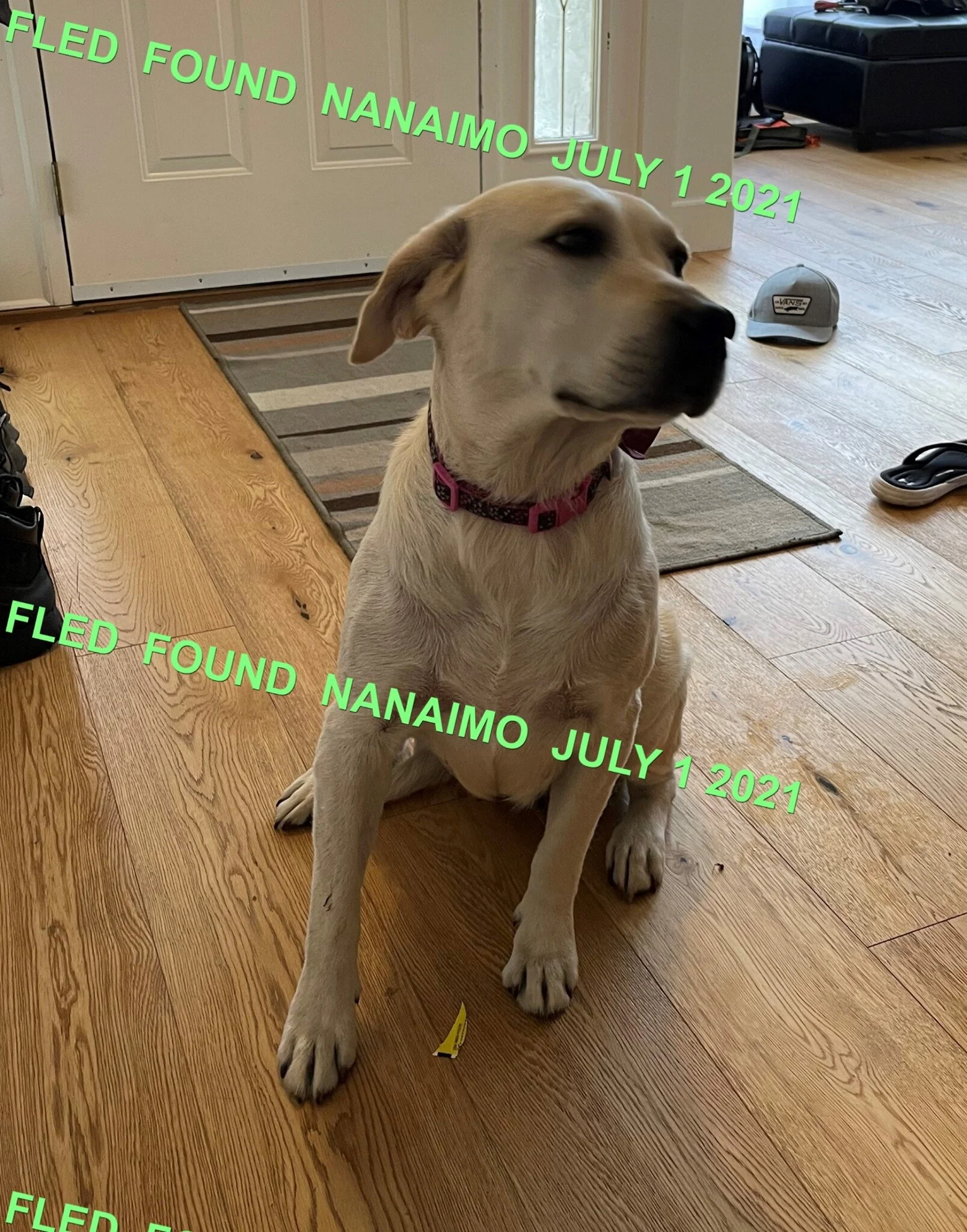 HAPPY ENDINGS - NANAIMO BC - JULY 1, 2021