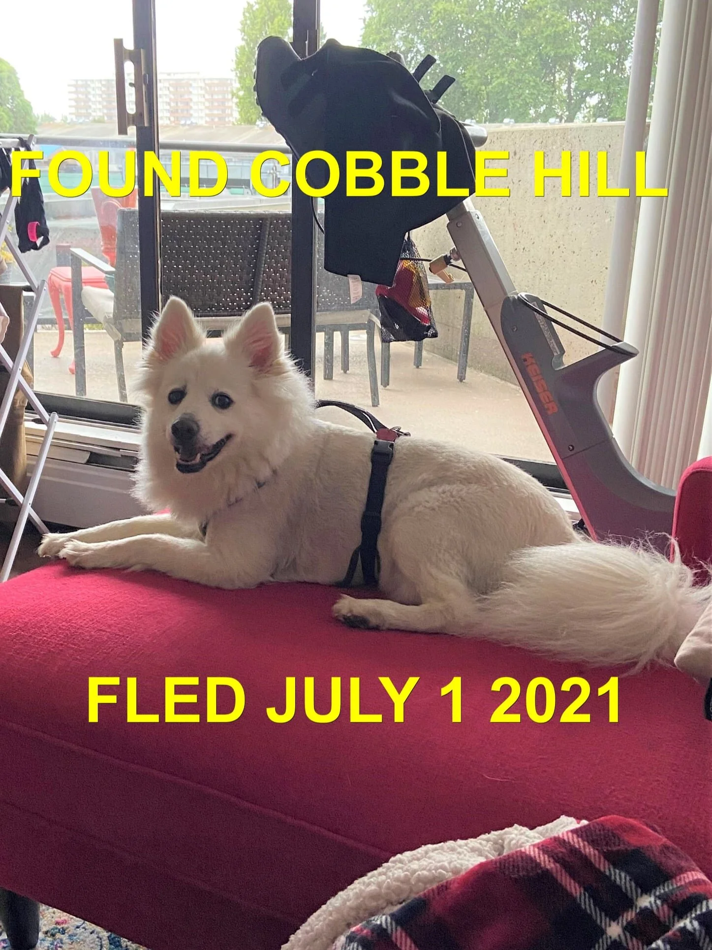 HAPPY ENDINGS - COBBLE HILL BC - JUNE 30, 2021