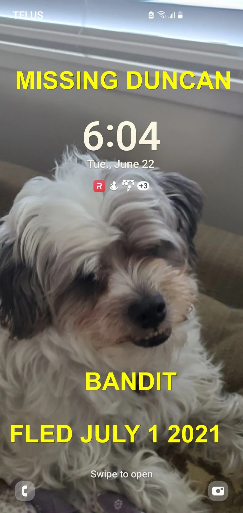 HAPPY ENDINGS - DUNCAN BC - BANDIT - JULY 1, 2021