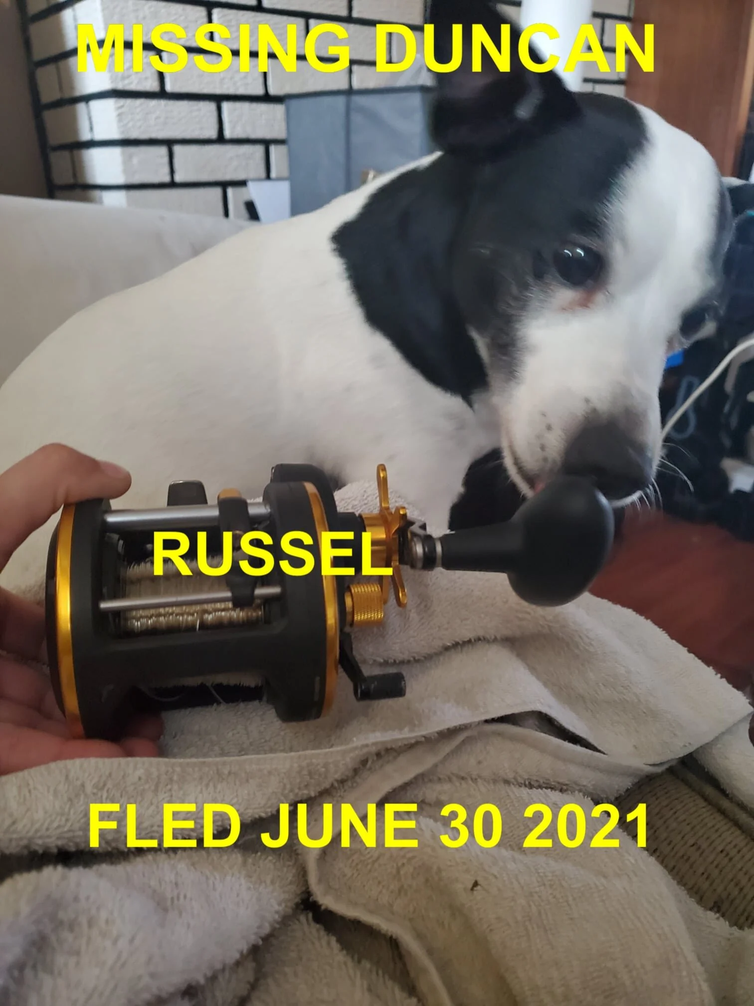 HAPPY ENDINGS - DUNCAN BC - RUSSLE - JUNE 30, 2021