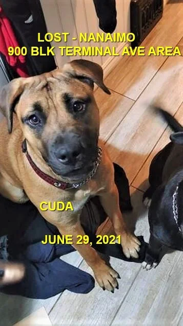 HAPPY ENDINGS - NANAIMO BC - CUDA - JUNE 29, 2021