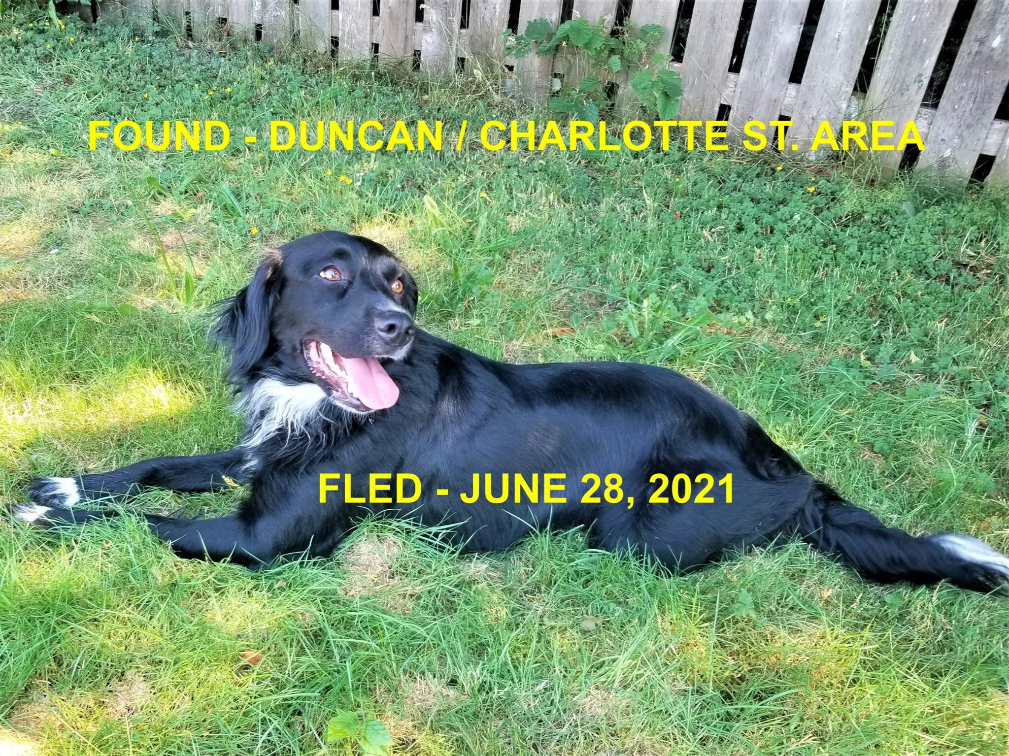 HAPPY ENDINGS - DUNCAN BC - JUNE 28, 2021