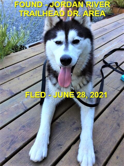 HAPPY ENDINGS - JORDAN RIVER BC - JUNE 28, 2021