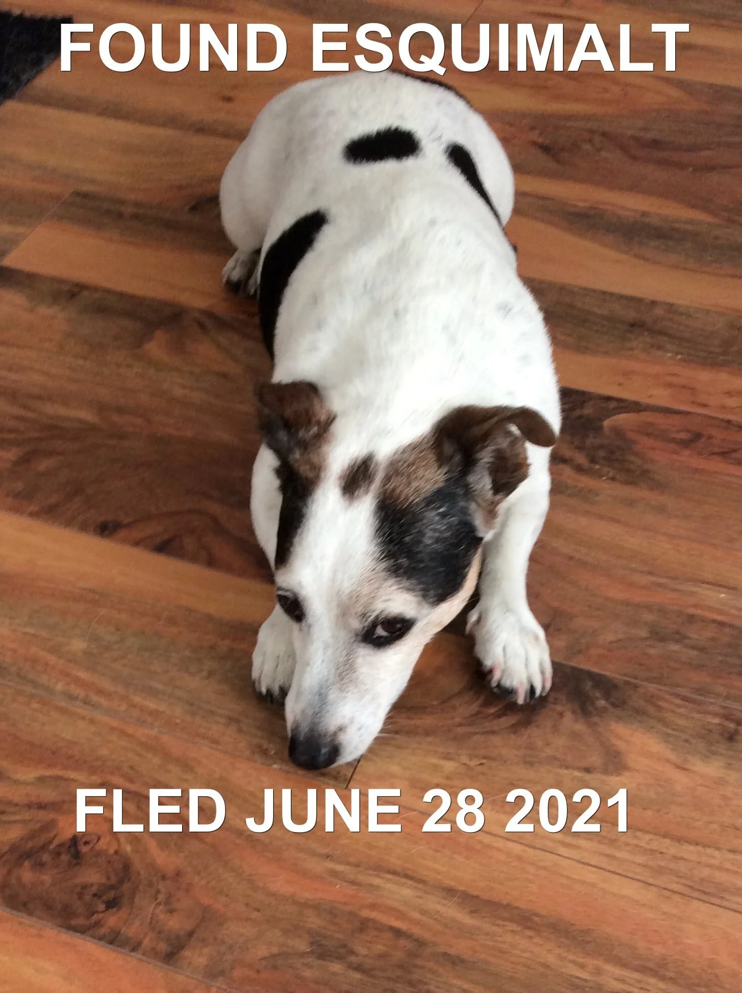 HAPPY ENDINGS - ESQUIMALT BC - JUNE 28, 2021