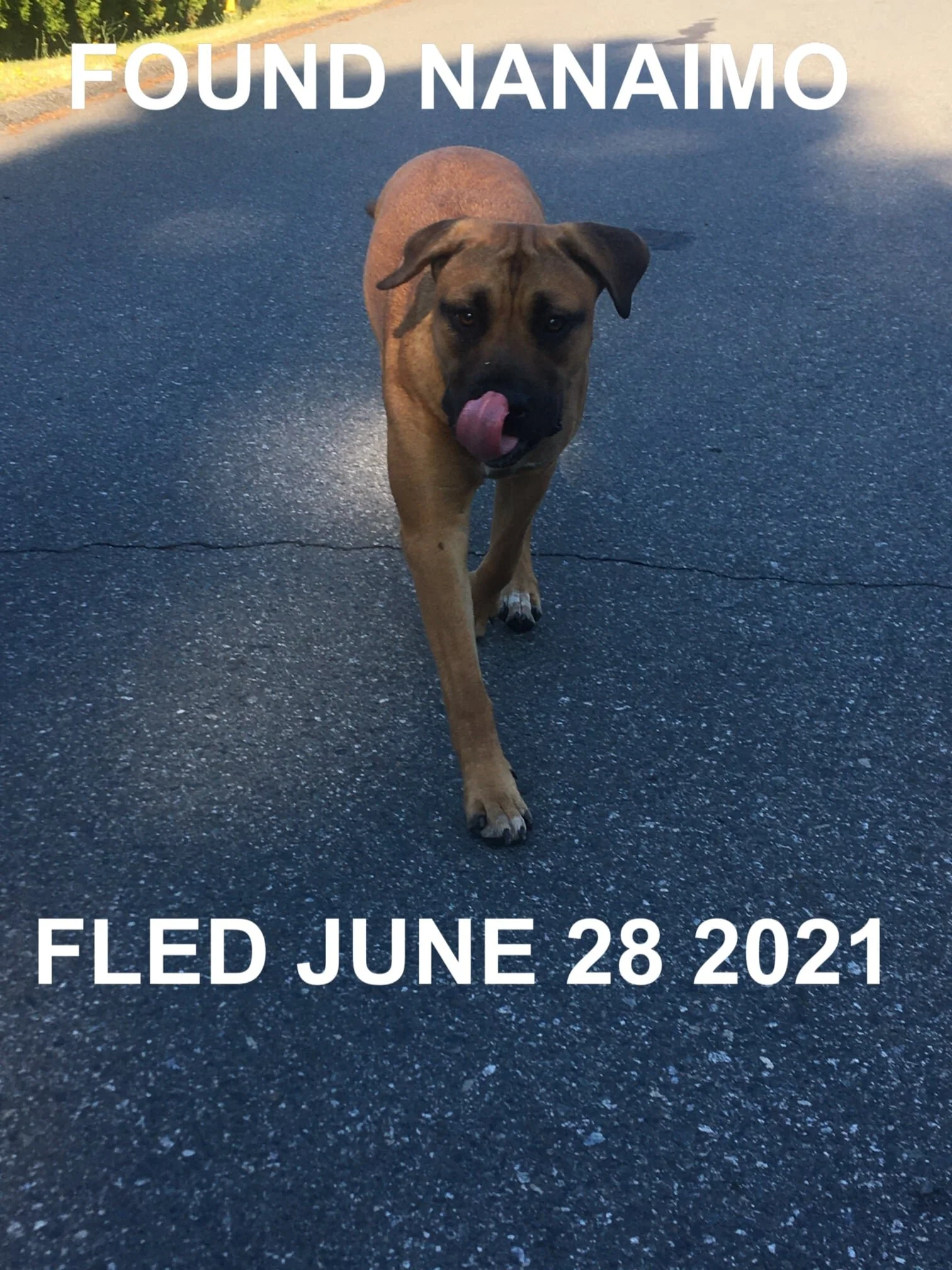 HAPPY ENDINGS - NANAIMO BC - JUNE 28, 2021