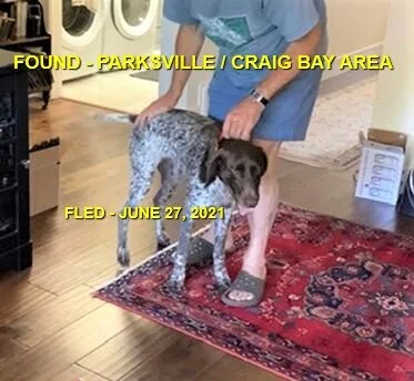 HAPPY ENDINGS - PARKSVILLE BC - JUNE 27, 2021