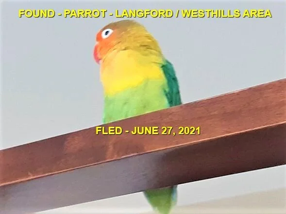 HAPPY ENDINGS - LANGFORD BC - JUNE 27, 2021