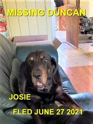 HAPPY ENDINGS - DUNCAN - JOSIE - JUNE 26, 2021