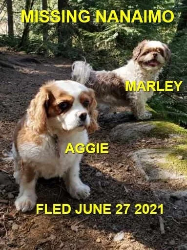 HAPPY ENDINGS - NANAIMO BC - AGGIE &amp; MARLEY - JUNE 26, 2021