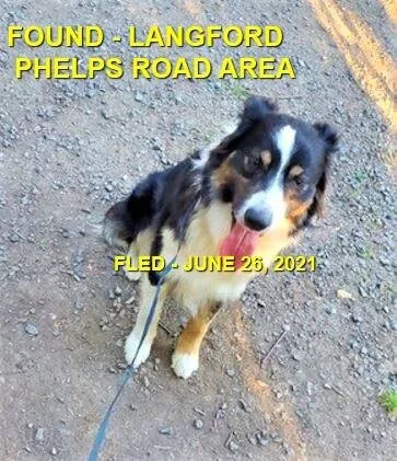 HAPPY ENDINGS - LANGFORD BC - JUNE 26, 2021