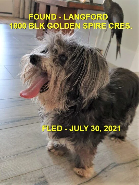 HAPPY ENDINGS - LANGFORD BC - JULY 30, 2021