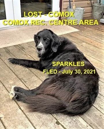 HAPPY ENDINGS - COMOX BC - JULY 29, 2021