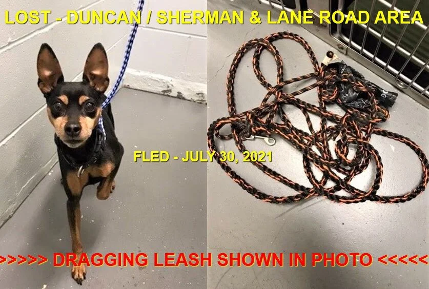 HAPPY ENDINGS - DUNCAN BC - JULY 30, 2021