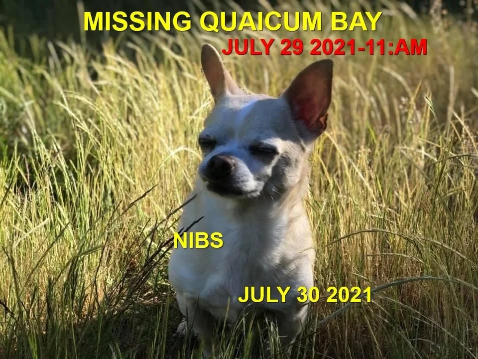 HAPPY ENDINGS - QUALICUM BEACH BC - NIBS / SENIOR - JULY 30, 2021